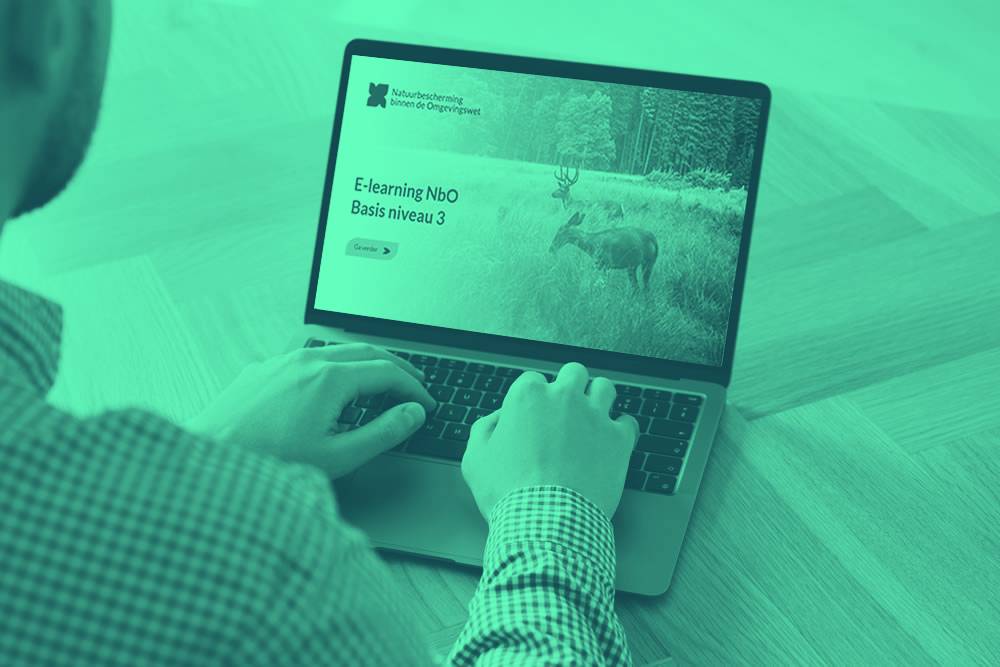 Door wie laat je een professionele e-learning maken? 3 tips om snel de juiste partij te kiezen